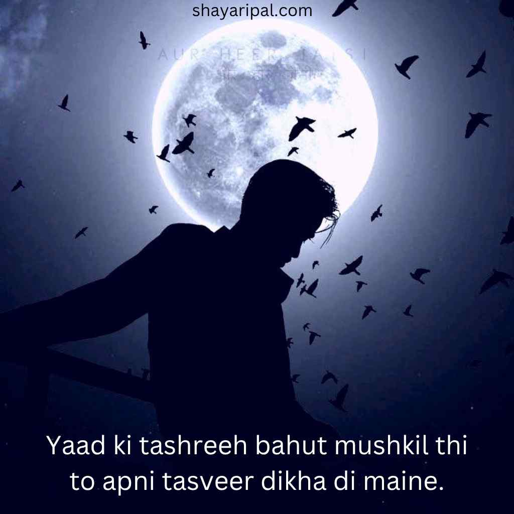 Kisi ki yaad mein shayari with a man under the moonlight surrounded by birds, expressing feelings.