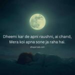 100+ Chand Shayari in English - Best Shayari On Moon