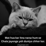 2 Lines Shayari On Narazgi in English - Narajgi Par Shayari