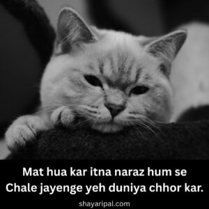 2 Lines Shayari On Narazgi in English - Narajgi Par Shayari