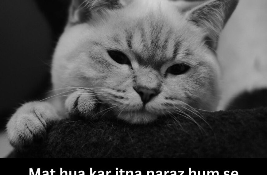 2 Lines Shayari On Narazgi in English - Narajgi Par Shayari