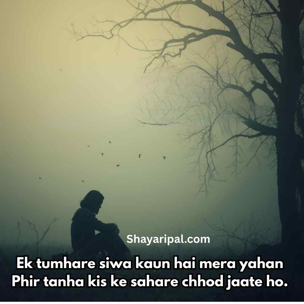 broken heart Sad Shayari in English image with a lonely person sitting under a tree in dark evening.