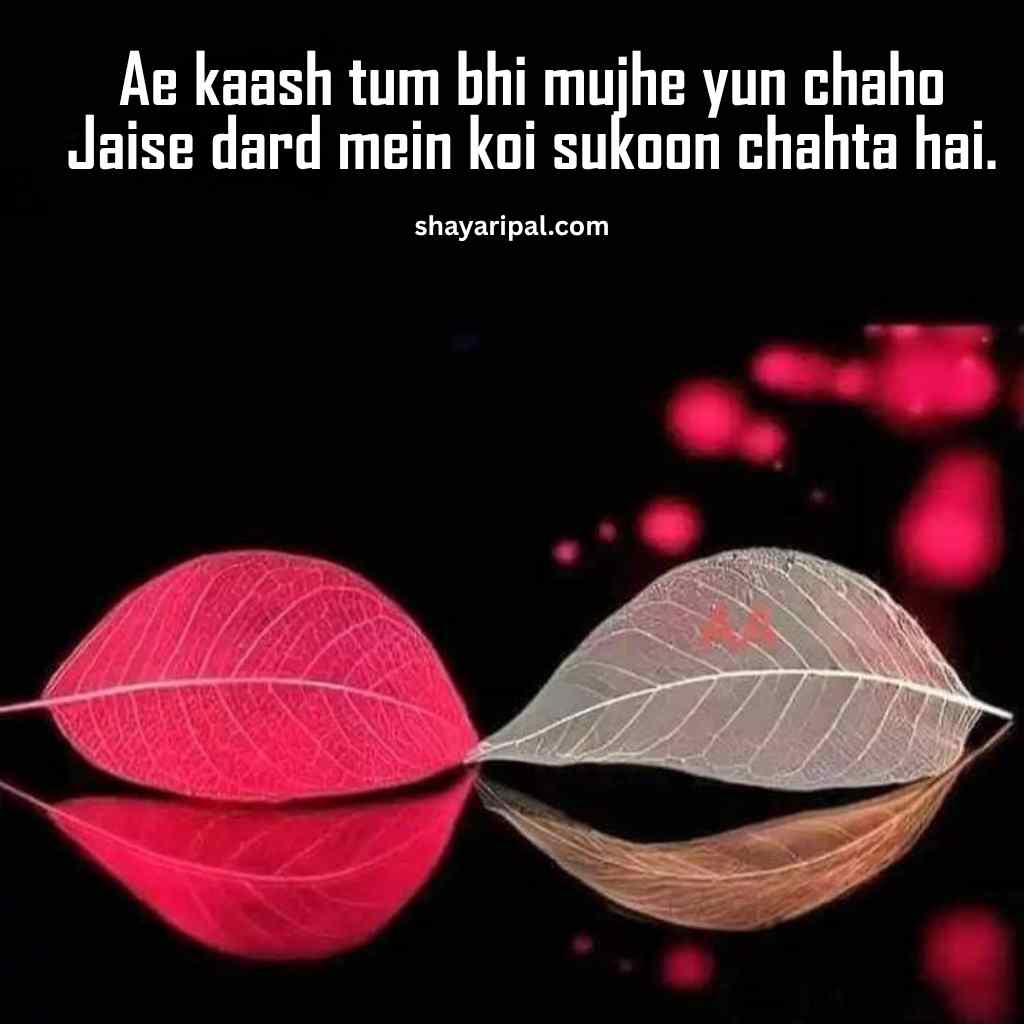 Emotional love shayari with red and white leaves symbolizing pain and longing in relationship
