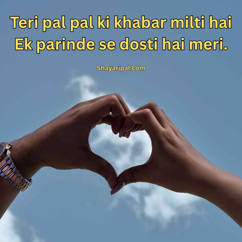 Teri Pal Pal Ki Khabar Milti Hai short love Shayari in English