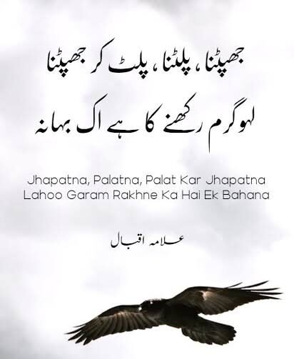 جھپٹنا، پلٹنا، پلٹ کر جھپٹنا”